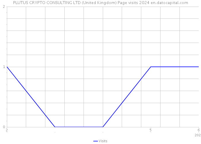 PLUTUS CRYPTO CONSULTING LTD (United Kingdom) Page visits 2024 