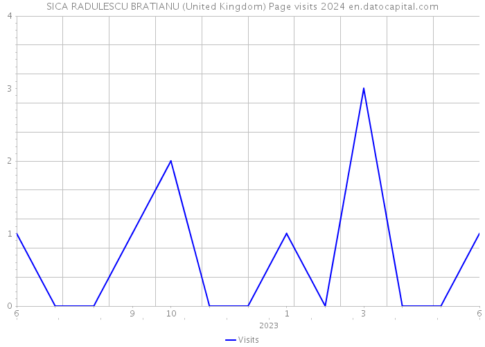 SICA RADULESCU BRATIANU (United Kingdom) Page visits 2024 
