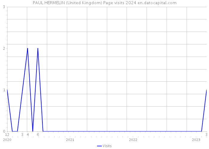 PAUL HERMELIN (United Kingdom) Page visits 2024 
