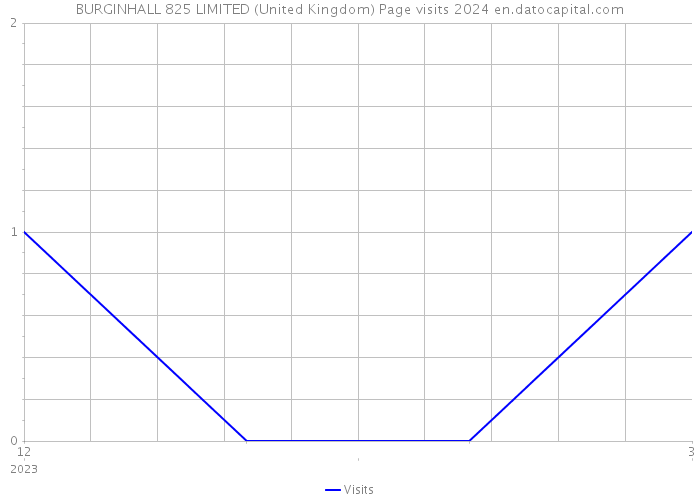 BURGINHALL 825 LIMITED (United Kingdom) Page visits 2024 