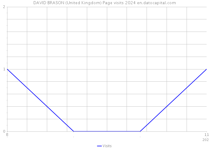 DAVID BRASON (United Kingdom) Page visits 2024 