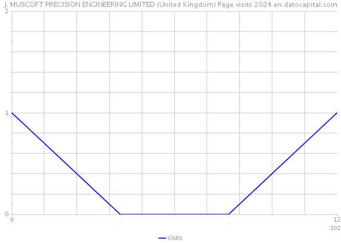 J. MUSCOFT PRECISION ENGINEERING LIMITED (United Kingdom) Page visits 2024 