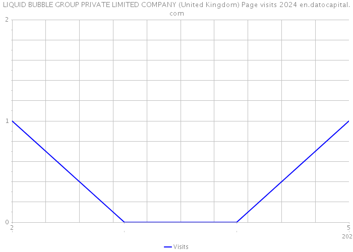 LIQUID BUBBLE GROUP PRIVATE LIMITED COMPANY (United Kingdom) Page visits 2024 