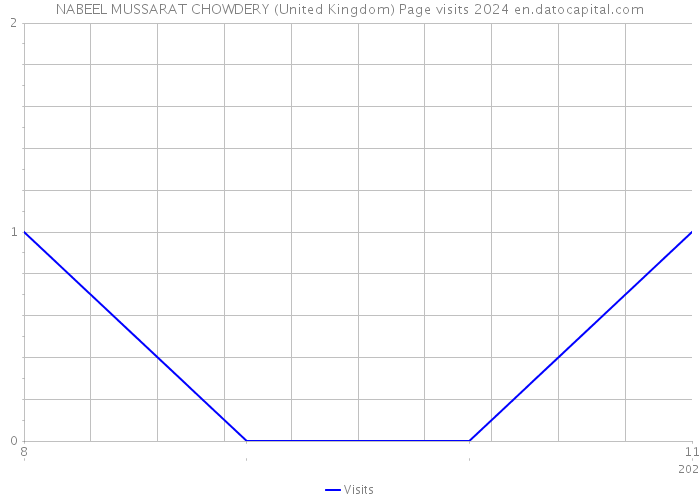 NABEEL MUSSARAT CHOWDERY (United Kingdom) Page visits 2024 