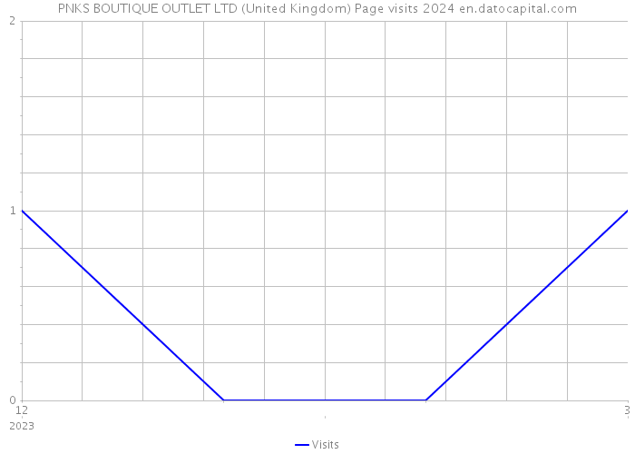 PNKS BOUTIQUE OUTLET LTD (United Kingdom) Page visits 2024 