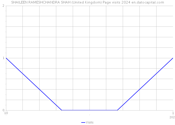 SHAILEEN RAMESHCHANDRA SHAH (United Kingdom) Page visits 2024 