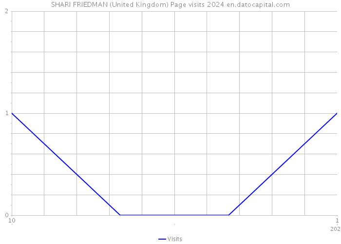 SHARI FRIEDMAN (United Kingdom) Page visits 2024 