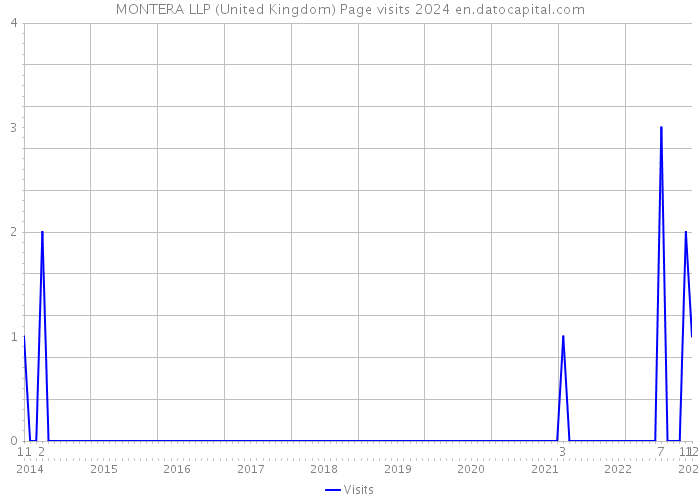 MONTERA LLP (United Kingdom) Page visits 2024 