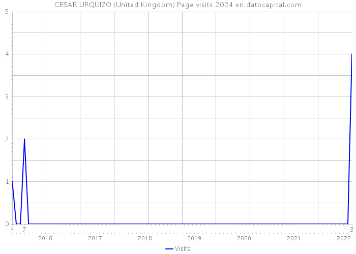 CESAR URQUIZO (United Kingdom) Page visits 2024 