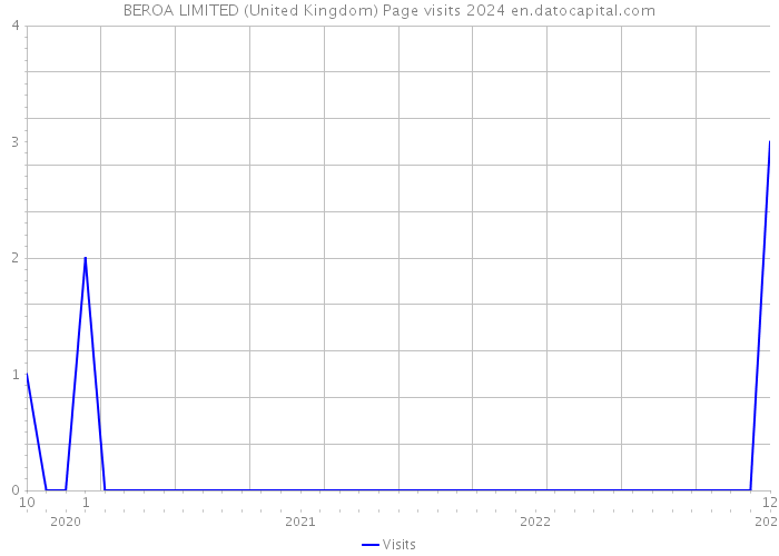 BEROA LIMITED (United Kingdom) Page visits 2024 