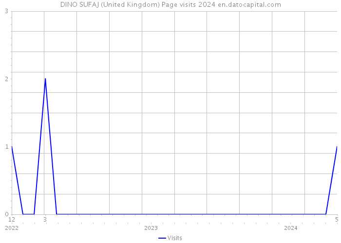 DINO SUFAJ (United Kingdom) Page visits 2024 