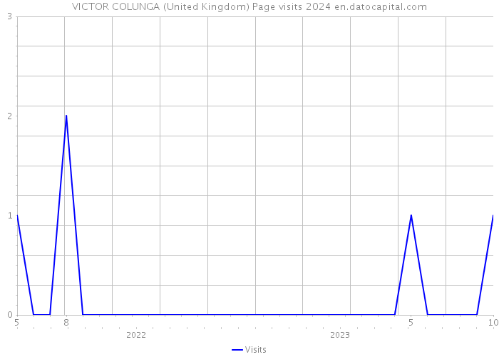 VICTOR COLUNGA (United Kingdom) Page visits 2024 