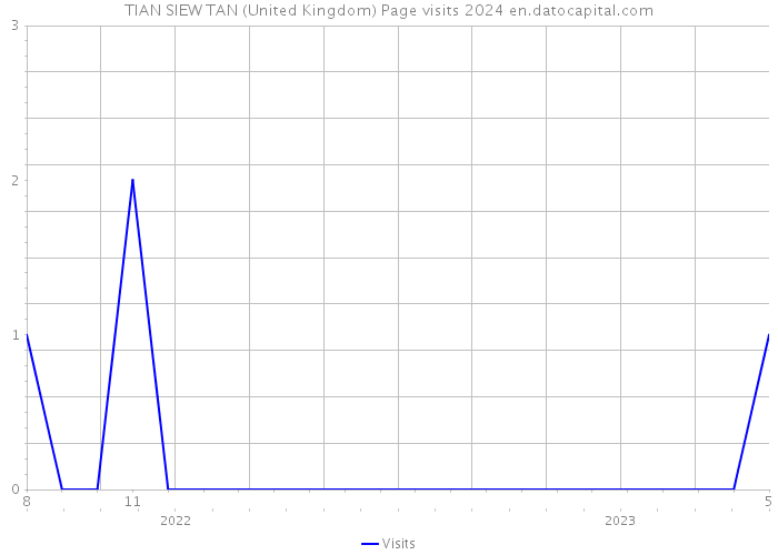 TIAN SIEW TAN (United Kingdom) Page visits 2024 