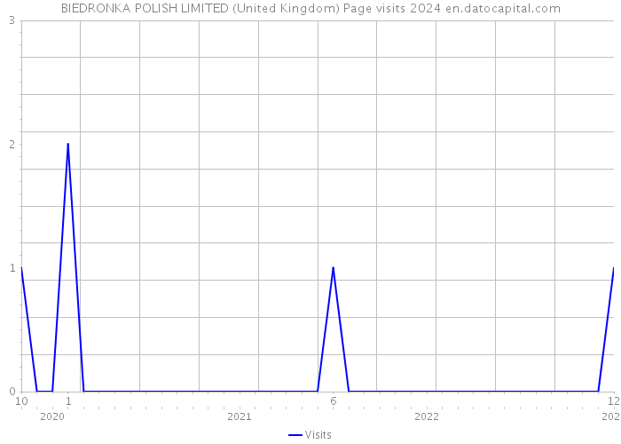 BIEDRONKA POLISH LIMITED (United Kingdom) Page visits 2024 