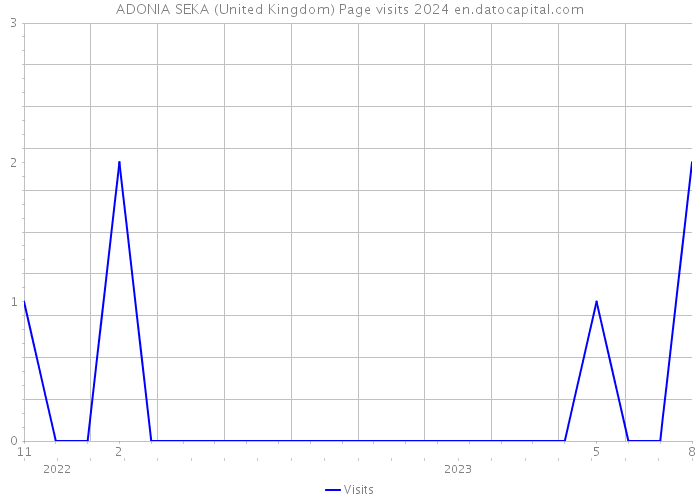ADONIA SEKA (United Kingdom) Page visits 2024 
