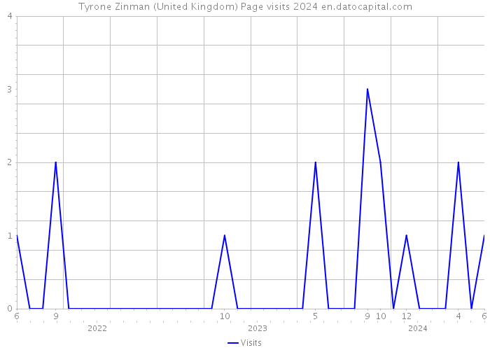 Tyrone Zinman (United Kingdom) Page visits 2024 