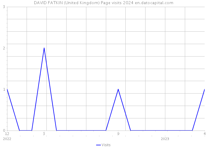 DAVID FATKIN (United Kingdom) Page visits 2024 