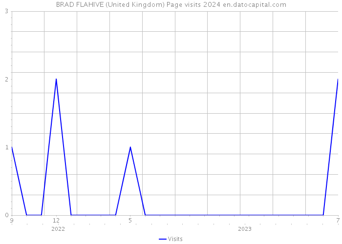 BRAD FLAHIVE (United Kingdom) Page visits 2024 