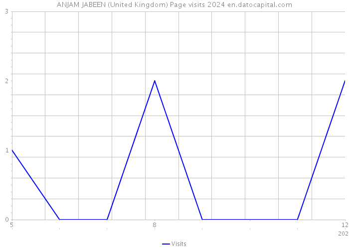 ANJAM JABEEN (United Kingdom) Page visits 2024 