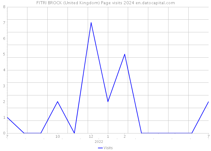 FITRI BROCK (United Kingdom) Page visits 2024 