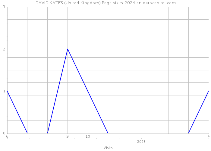 DAVID KATES (United Kingdom) Page visits 2024 
