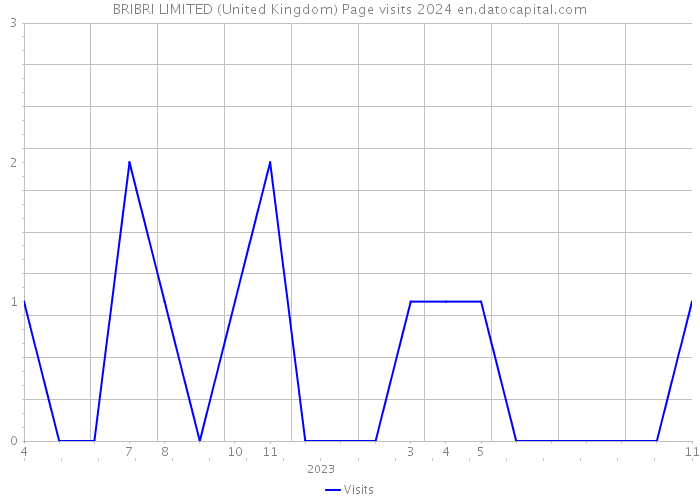 BRIBRI LIMITED (United Kingdom) Page visits 2024 