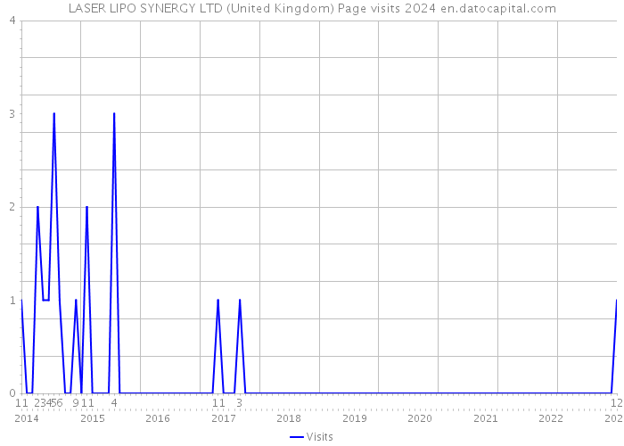 LASER LIPO SYNERGY LTD (United Kingdom) Page visits 2024 