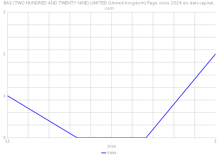 BAS (TWO HUNDRED AND TWENTY NINE) LIMITED (United Kingdom) Page visits 2024 