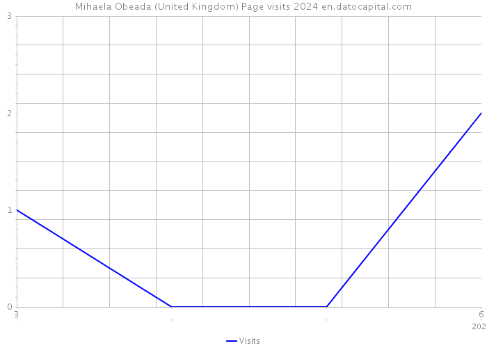 Mihaela Obeada (United Kingdom) Page visits 2024 