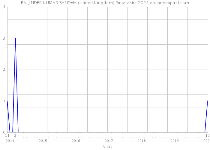 BALJINDER KUMAR BANDHA (United Kingdom) Page visits 2024 