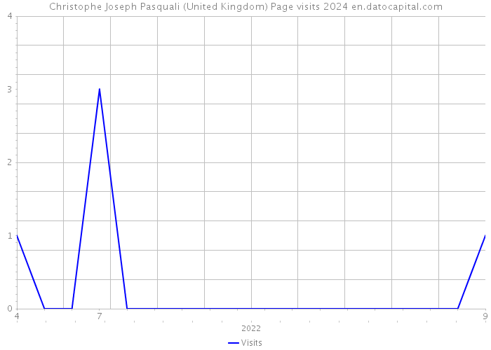 Christophe Joseph Pasquali (United Kingdom) Page visits 2024 