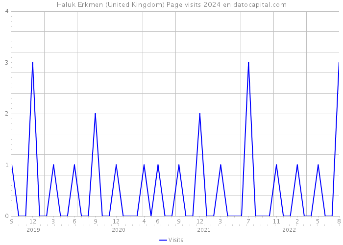 Haluk Erkmen (United Kingdom) Page visits 2024 