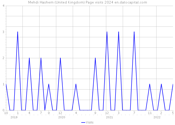 Mehdi Hashem (United Kingdom) Page visits 2024 
