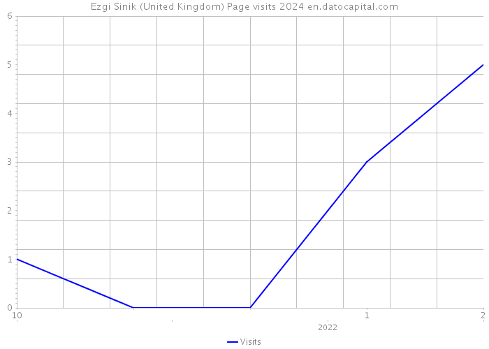 Ezgi Sinik (United Kingdom) Page visits 2024 