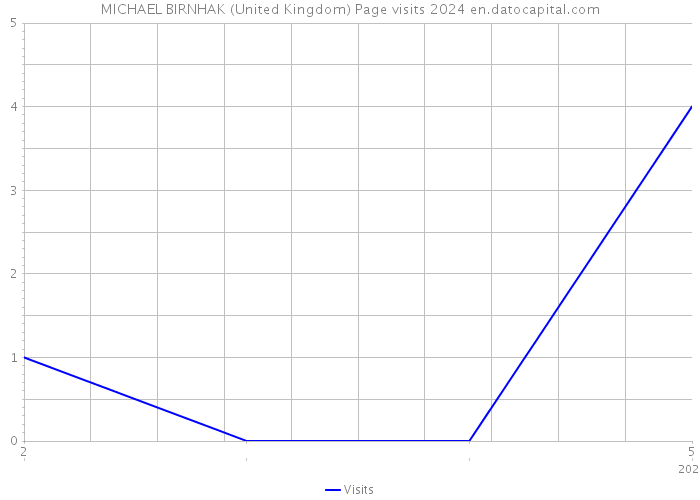 MICHAEL BIRNHAK (United Kingdom) Page visits 2024 
