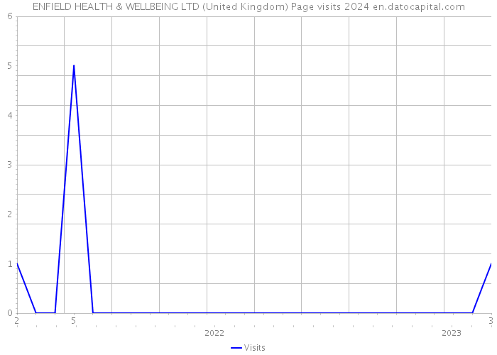 ENFIELD HEALTH & WELLBEING LTD (United Kingdom) Page visits 2024 