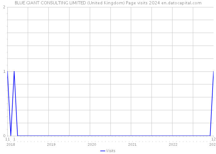 BLUE GIANT CONSULTING LIMITED (United Kingdom) Page visits 2024 