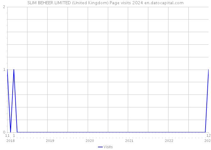SLIM BEHEER LIMITED (United Kingdom) Page visits 2024 