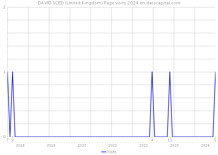 DAVID SCED (United Kingdom) Page visits 2024 