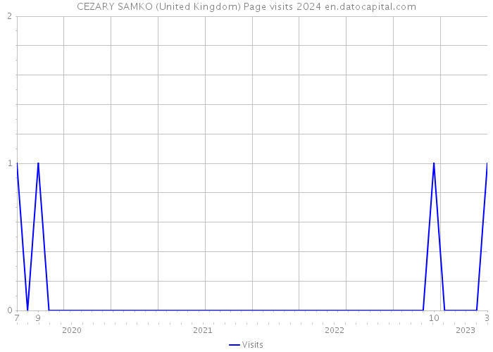 CEZARY SAMKO (United Kingdom) Page visits 2024 