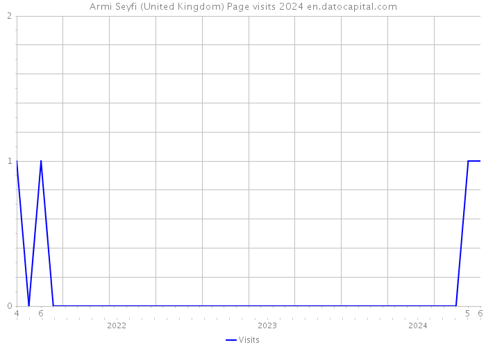 Armi Seyfi (United Kingdom) Page visits 2024 