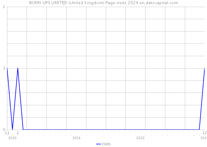 BORRI UPS LIMITED (United Kingdom) Page visits 2024 