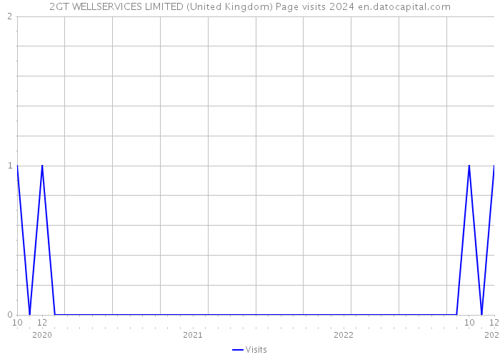 2GT WELLSERVICES LIMITED (United Kingdom) Page visits 2024 
