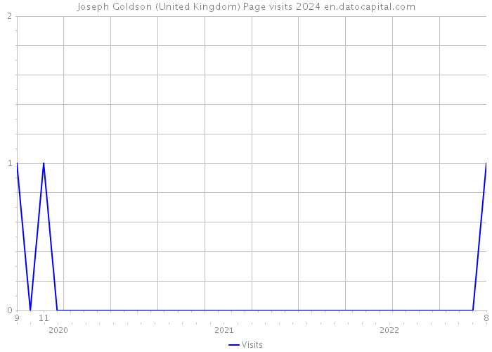 Joseph Goldson (United Kingdom) Page visits 2024 