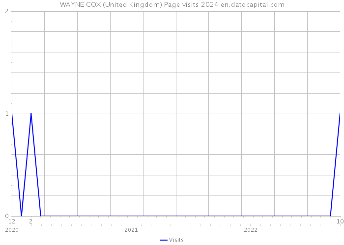 WAYNE COX (United Kingdom) Page visits 2024 