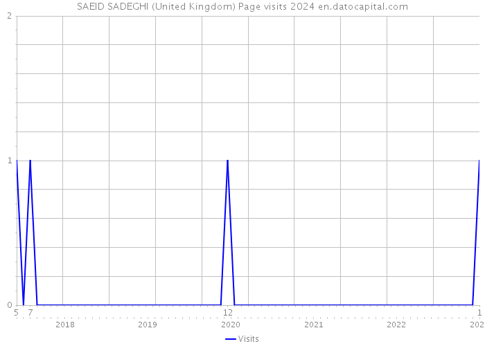 SAEID SADEGHI (United Kingdom) Page visits 2024 
