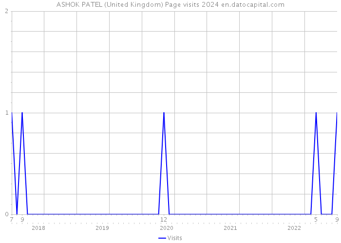 ASHOK PATEL (United Kingdom) Page visits 2024 