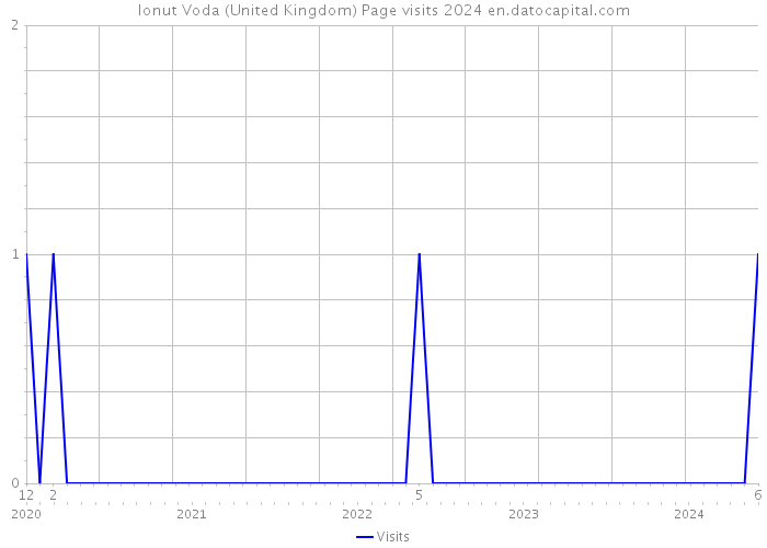 Ionut Voda (United Kingdom) Page visits 2024 