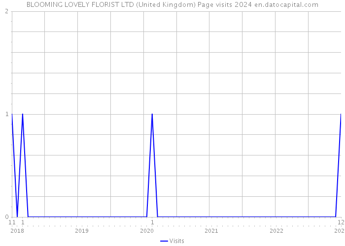 BLOOMING LOVELY FLORIST LTD (United Kingdom) Page visits 2024 