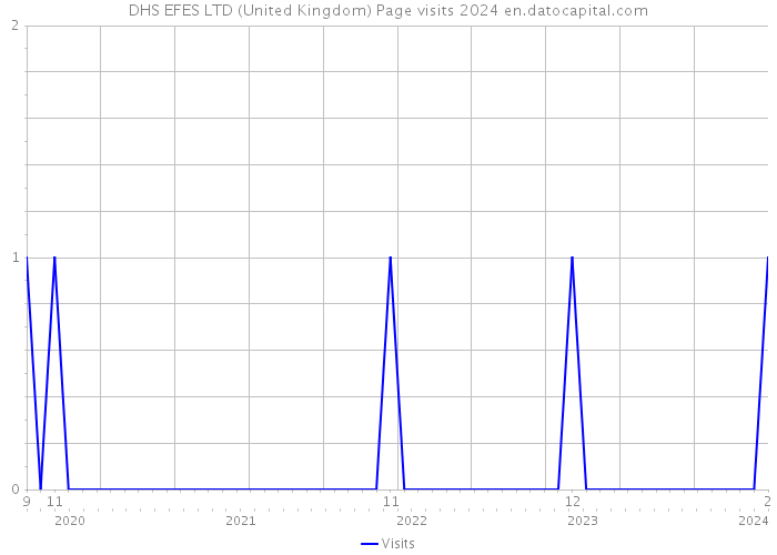 DHS EFES LTD (United Kingdom) Page visits 2024 